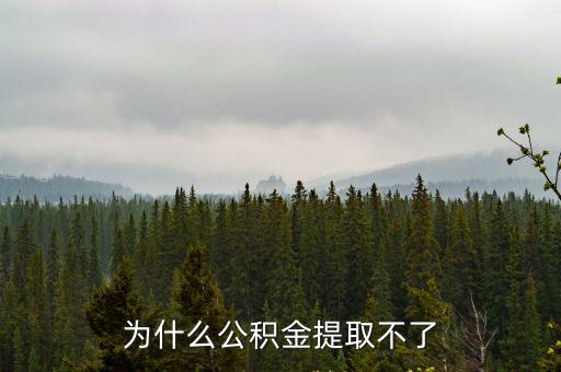 澳門二手房