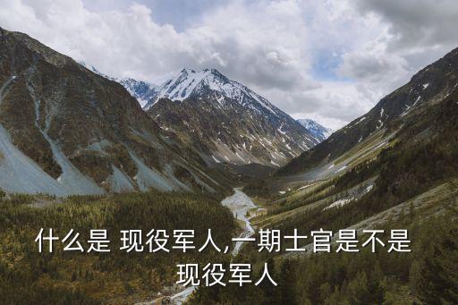 現(xiàn)役士兵