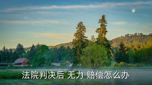 法院判決后 無力 賠償怎么辦