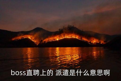 派遣是什么意思,boss直聘派遣是什么意思