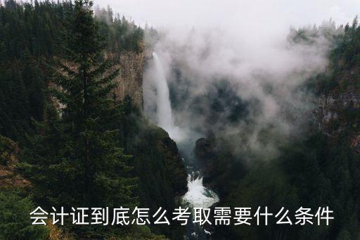 會計從業(yè)資格考試,2023年會計從業(yè)資格考試時間