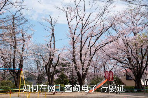 如何在網(wǎng)上查詢電子 行駛證