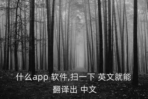 把英文翻譯成中文的軟件,英文翻譯中文的軟件免費
