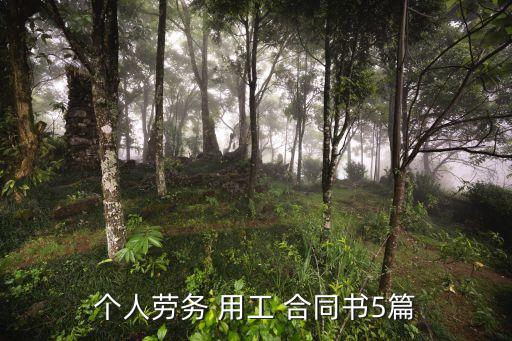 個人勞務(wù) 用工 合同書5篇