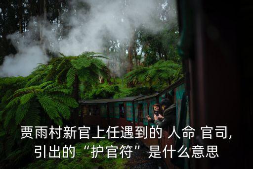 賈雨村新官上任遇到的 人命 官司,引出的“護(hù)官符”是什么意思