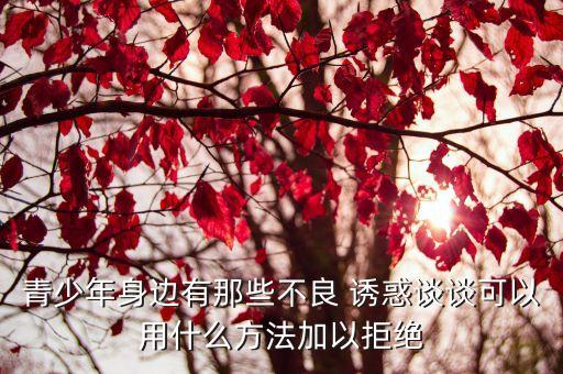青少年身邊有那些不良 誘惑談?wù)効梢杂檬裁捶椒右跃芙^
