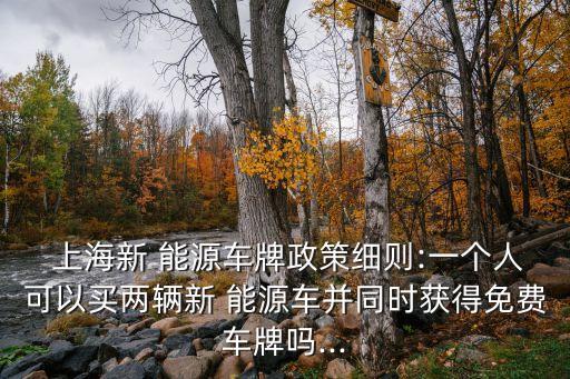  上海新 能源車牌政策細(xì)則:一個人可以買兩輛新 能源車并同時獲得免費車牌嗎...
