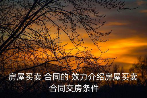 房屋買賣 合同的 效力介紹房屋買賣 合同交房條件
