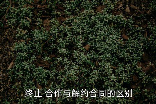 經(jīng)銷商終止合作協(xié)議,合作協(xié)議終止承諾書怎么寫