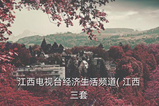  江西電視臺經濟生活頻道( 江西 三套