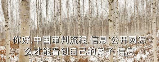 信息公開網(wǎng)查詢,最高院中國執(zhí)行信息公開網(wǎng)查詢