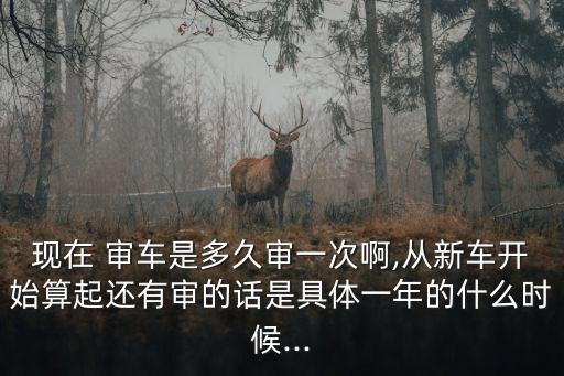 現(xiàn)在 審車是多久審一次啊,從新車開始算起還有審的話是具體一年的什么時候...