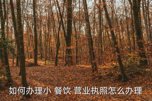 餐飲營業(yè)執(zhí)照