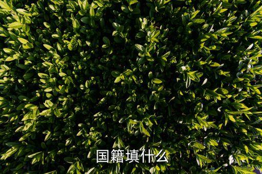  國籍填什么