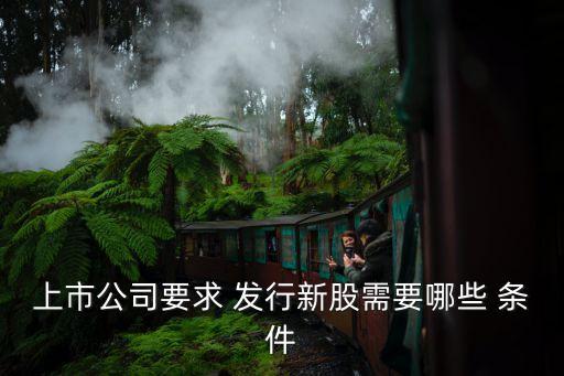 發(fā)行條件,公募reits發(fā)行條件