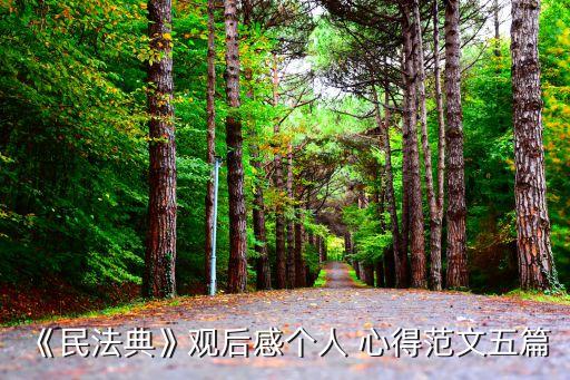 《民法典》觀后感個(gè)人 心得范文五篇