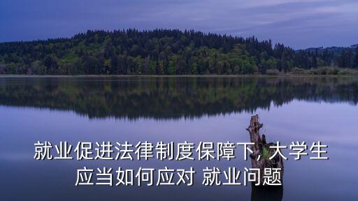 大學(xué)生就業(yè)與勞動(dòng)合同法的關(guān)系