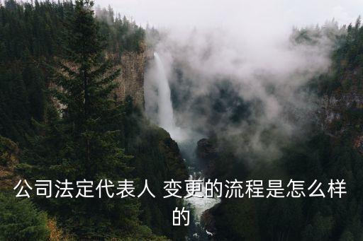 公司法定代表人 變更的流程是怎么樣的