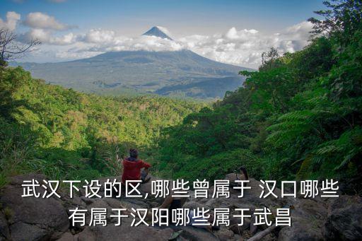 武漢下設(shè)的區(qū),哪些曾屬于 漢口哪些有屬于漢陽(yáng)哪些屬于武昌