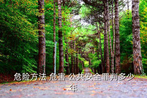  危險(xiǎn)方法 危害 公共安全罪判多少年