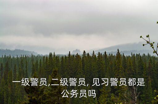 見習(xí)警察,警察肩章級(jí)別