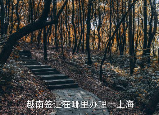越南駐中國大使館