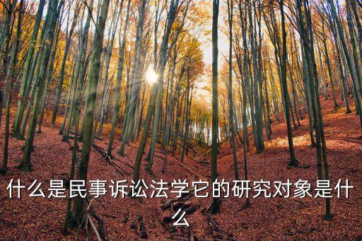 什么是民事訴訟法學它的研究對象是什么