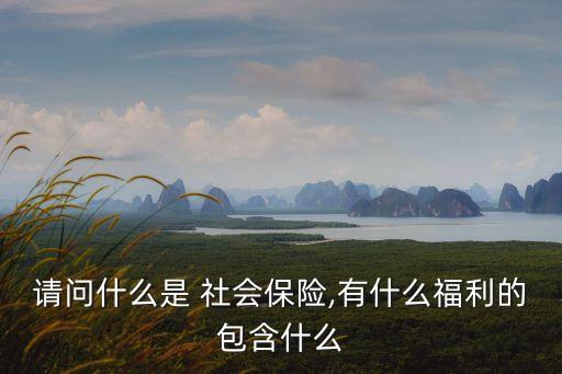請(qǐng)問什么是 社會(huì)保險(xiǎn),有什么福利的包含什么