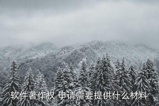 軟件著作權(quán) 申請需要提供什么材料