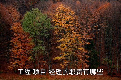 工地項目經(jīng)理