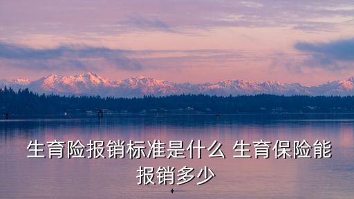  生育險(xiǎn)報(bào)銷標(biāo)準(zhǔn)是什么 生育保險(xiǎn)能報(bào)銷多少