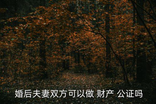 婚后財(cái)產(chǎn)公證