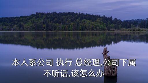 執(zhí)行總經(jīng)理