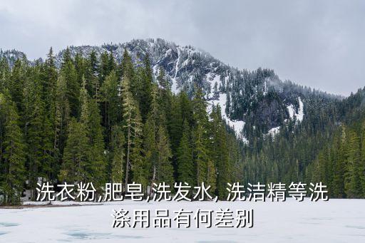 水和洗潔精有哪些異同