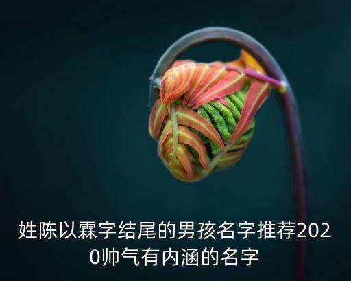 陳久霖