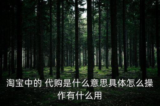淘寶中的 代購(gòu)是什么意思具體怎么操作有什么用
