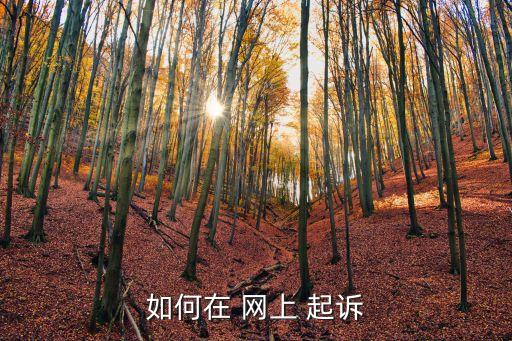 怎么從網(wǎng)上起訴