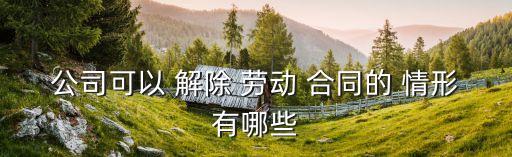 解除勞動(dòng)合同的幾種情形,公司單方面解除員工如何賠償