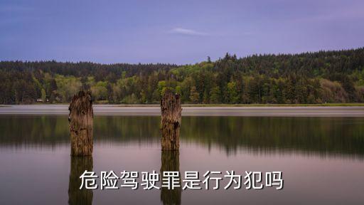 危險(xiǎn)駕駛罪是行為犯嗎