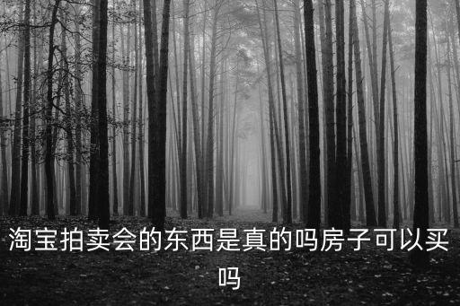淘寶法拍網(wǎng)