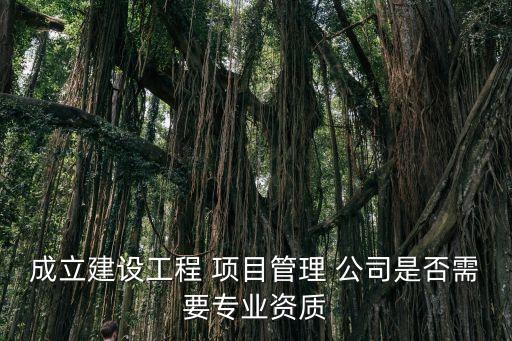 成立建設(shè)工程 項(xiàng)目管理 公司是否需要專業(yè)資質(zhì)