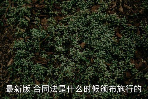最新版 合同法是什么時(shí)候頒布施行的