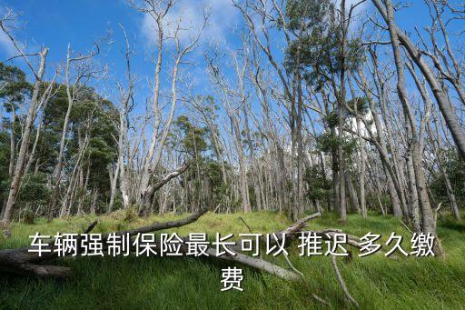車(chē)輛強(qiáng)制保險(xiǎn)最長(zhǎng)可以 推遲 多久繳費(fèi)