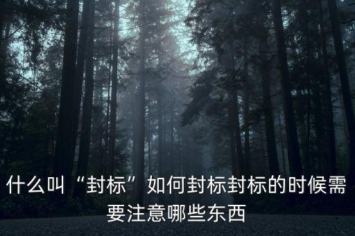 什么叫“封標”如何封標封標的時候需要注意哪些東西