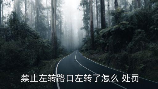 禁止左轉(zhuǎn)彎時(shí)轉(zhuǎn)彎了怎么處罰,貨車禁止左轉(zhuǎn)彎時(shí)轉(zhuǎn)彎了怎么處罰