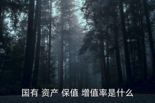資產(chǎn)保值增值,如何做好國有資產(chǎn)保值增值