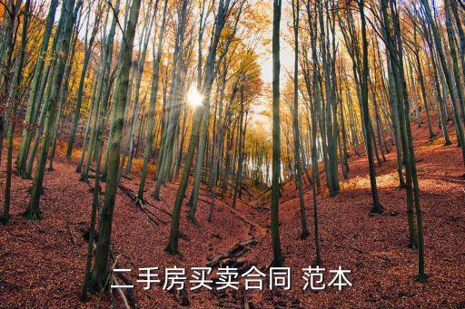 房屋出售協(xié)議書范本最新,個人房屋出售協(xié)議書