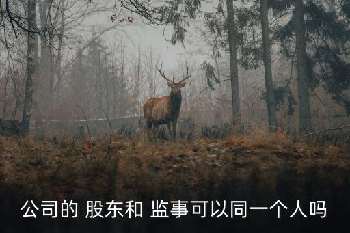 監(jiān)事可以是股東嗎,有限公司監(jiān)事可以是股東嗎