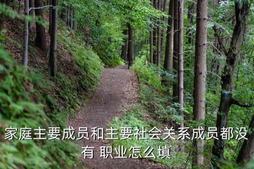無職業(yè)