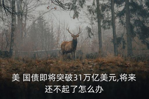 美 國債即將突破31萬億美元,將來還不起了怎么辦